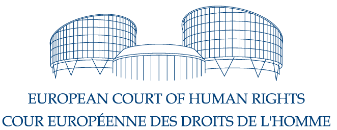 Lawyer for appeal at the Strasbourg Court European Court Human Rights