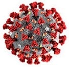 Coronavirus 5
